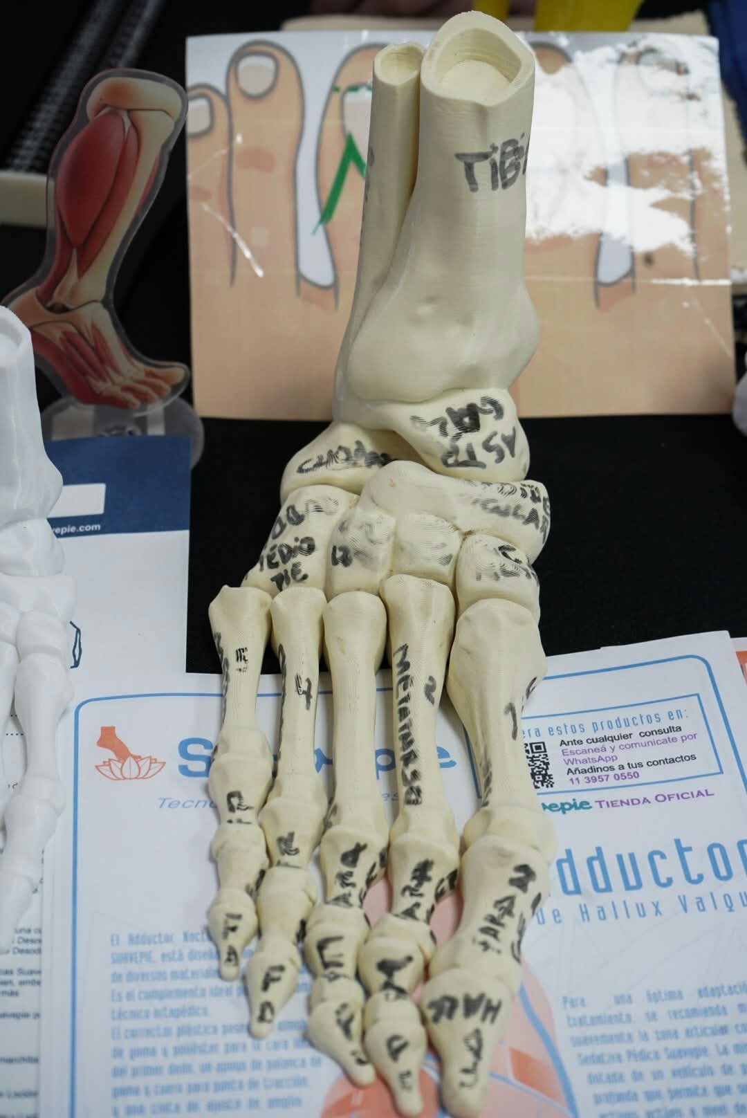 Expo Educativa 2027 - imagen 6